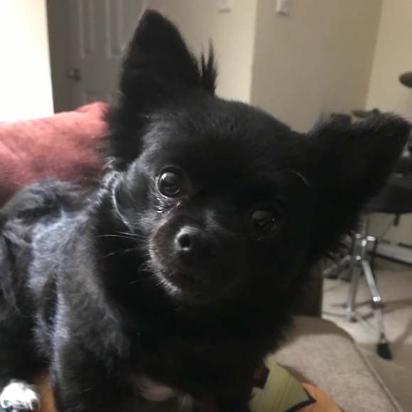 Meet your Posher, Freya EightyEight - Picture 3 of 16